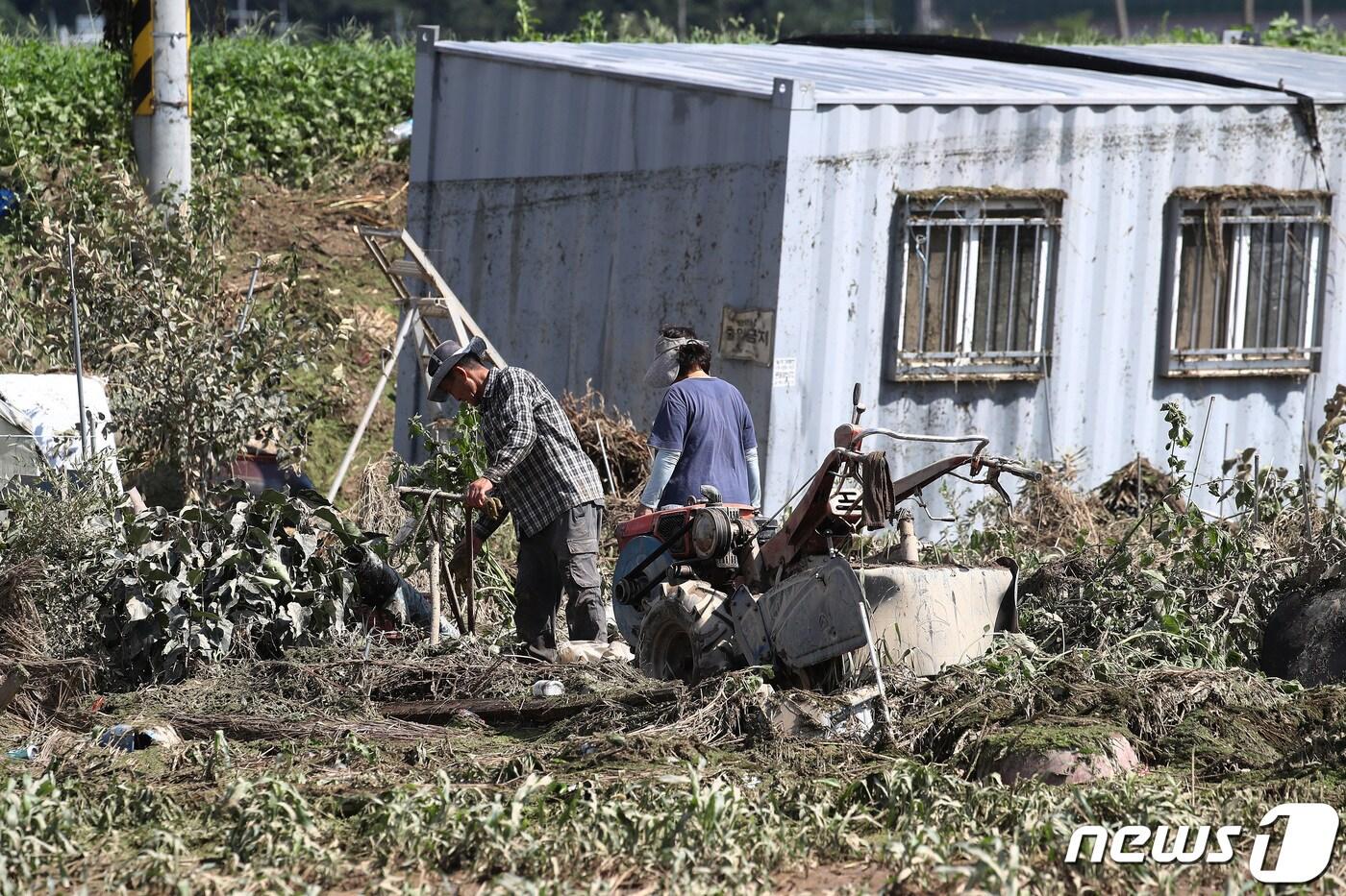 본문 이미지 - 지난 11일 오전 대구 군위군 효령면 병수리에서 농민들이 진창으로 변한 밭에서 농기구를 살펴보는 모습. ⓒ News1