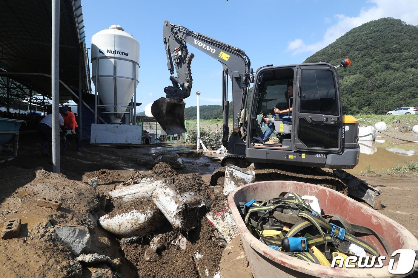 강풍과 호우를 동반한 제6호 태풍 '카눈' 이후 대구 군위군 효령면 병수리에서 농민들이 복구작업을 벌이고 있다. 2023.8.11/뉴스1 ⓒ News1 공정식 기자