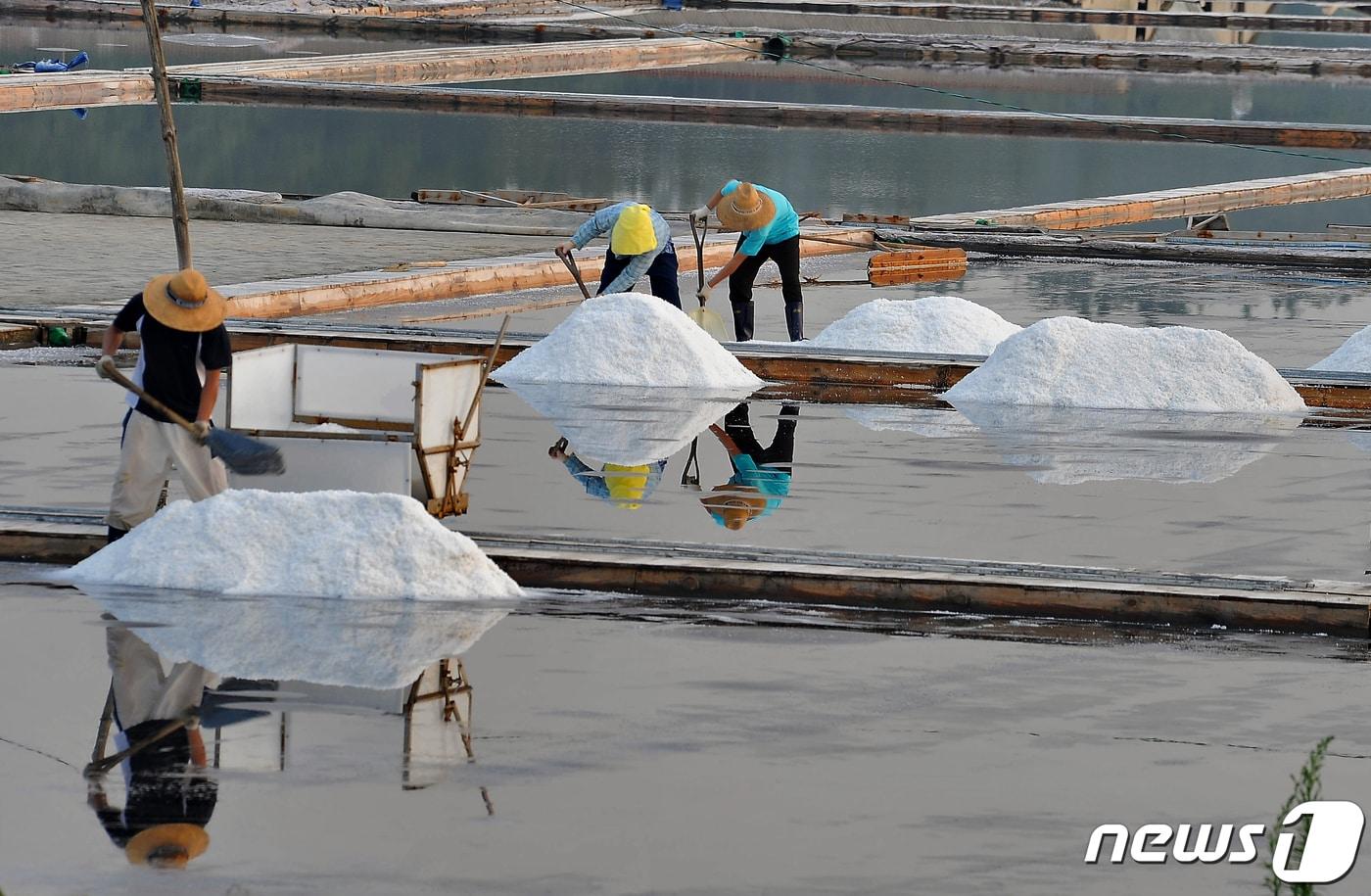 신안 대성염전 &#40;신안군 제공&#41;&#40;사진은 기사 내용과 관련 없음&#41;/뉴스1 ⓒ News1 김태성 기자