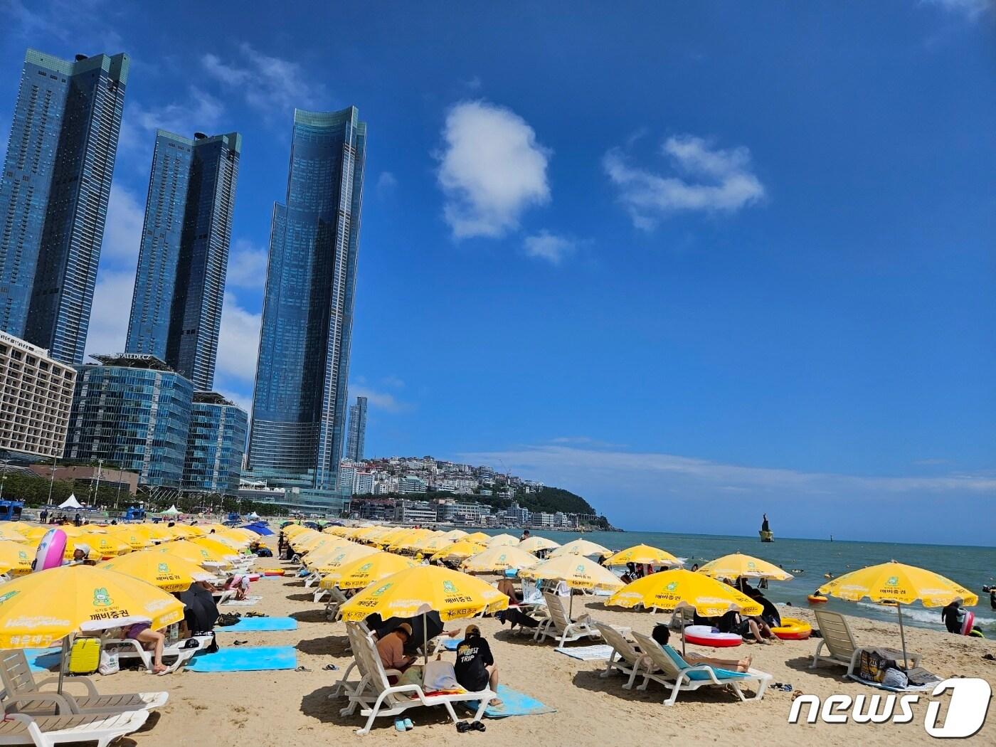 본문 이미지 - 11일 해운대해수욕장에 노란 파라솔이 활짝 펼쳐졌다. 2023.8.11/뉴스1 ⓒ News1 권영지 기자