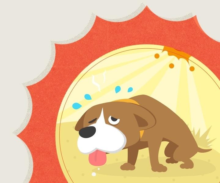 본문 이미지 - 윤주희 디자이너