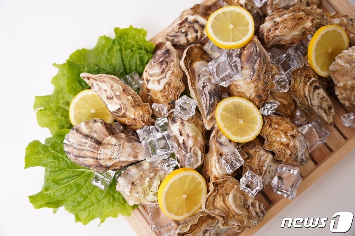 신안 1004굴 &#40;신안군 제공. 재판매 및 DB금지&#41; /뉴스1 