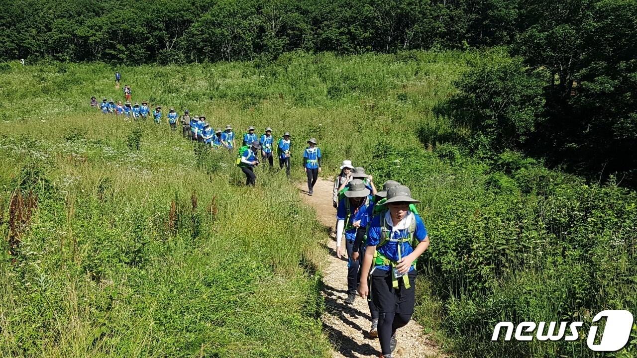 본문 이미지 - 2018년 청소년 백두대간 산림생태탐방 모습. (산림청 제공) /뉴스1