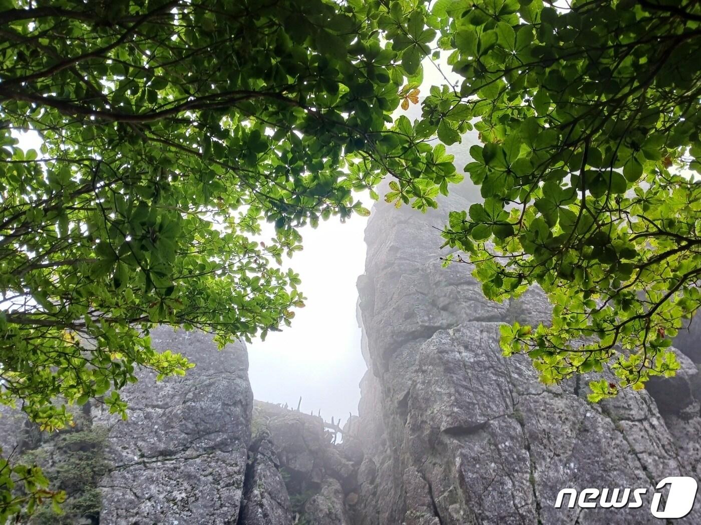 본문 이미지 - 연하천~세석대피소 구간에서는 기기묘묘한 바위를 많이  볼 수 있다. 길 가까이에  바싹 붙어있어  카메라로 다 담을 수 없을 정도로 우람하고 으리으리하다ⓒ 뉴스1