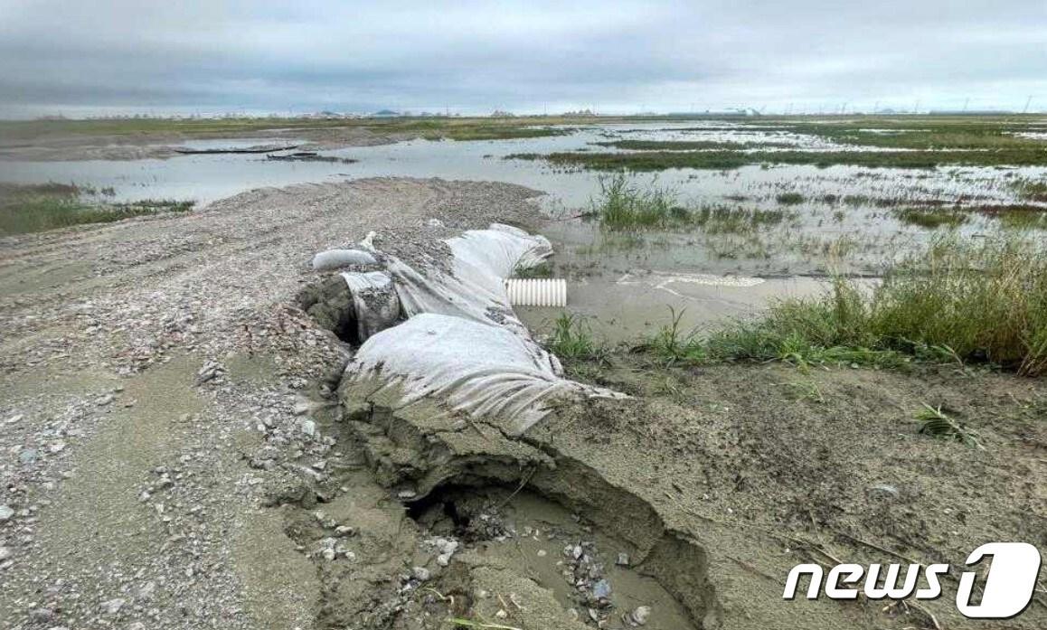 본문 이미지 - 새만금 세계 스카우트 잼버리 부지 진입로에 배수관 퇴적이 발생한 모습(홍문표 의원실 제공).