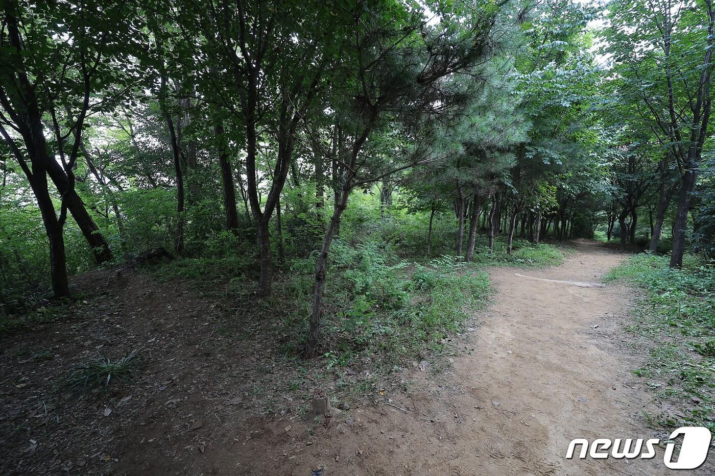 본문 이미지 - 지난 17일 서울 관악구 신림동의 한 산속 둘레길에서 성폭행 사건이 발생했다. 사진은 사건현장의 모습.(공동취재)2023.8.18/뉴스1 ⓒ News1 이동해 기자