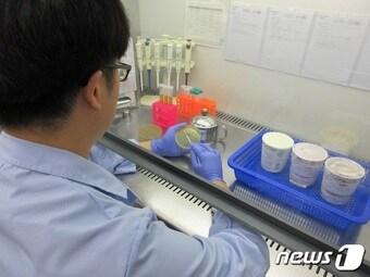 본문 이미지 - 대전보건환경연구원이 시중에 유통되는 아이스크림을 검사하고 있는 모습.(대전시 제공) 