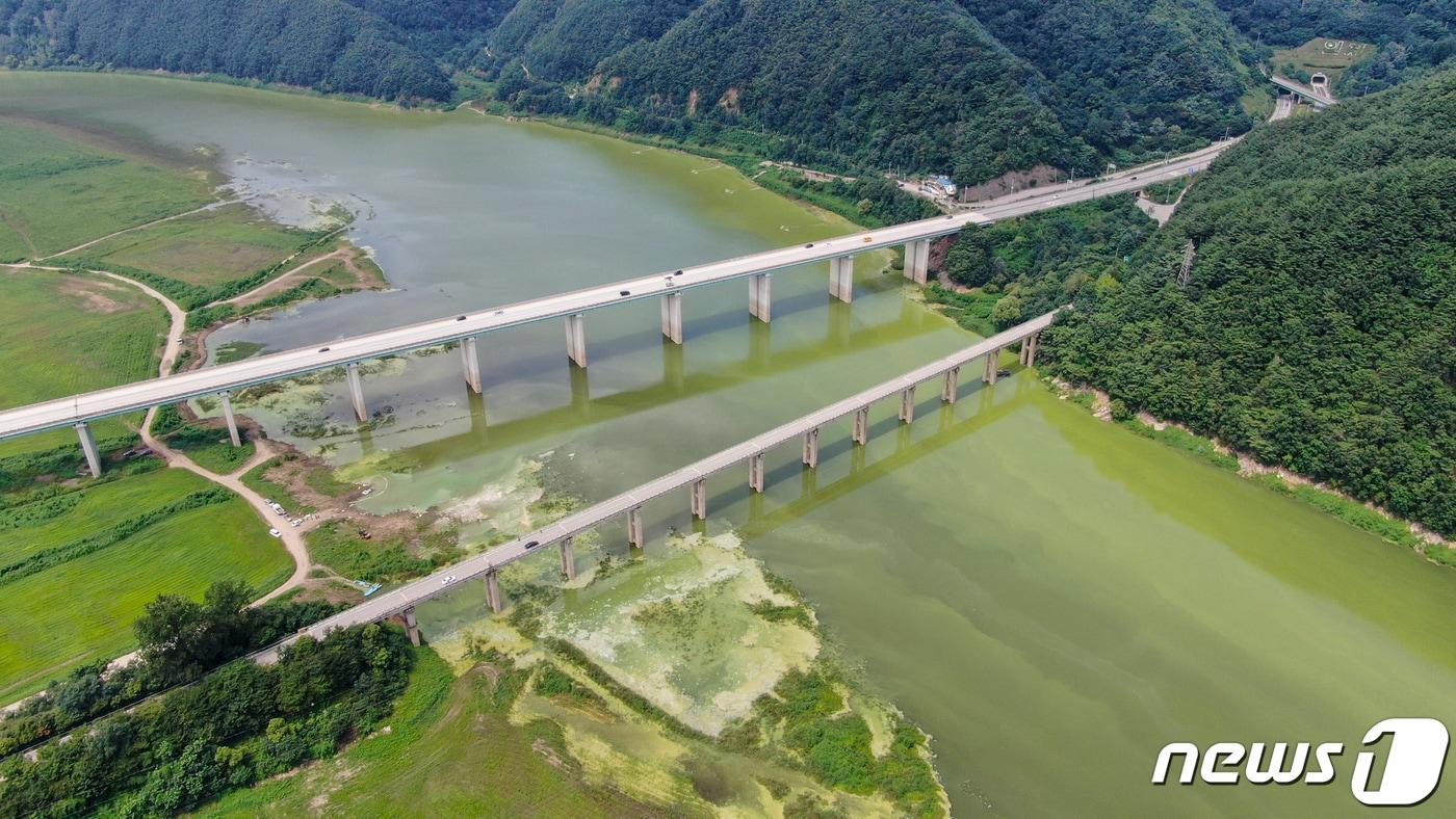 전국 곳곳에 폭염이 이어지고 있는 지난 2023년 8월 2일 강원 인제군 소양호 상류에 녹조가 발생해 호수가 짙은 녹색으로 변해 있다. 2023.8.2/뉴스1 ⓒ News1 김도우 기자