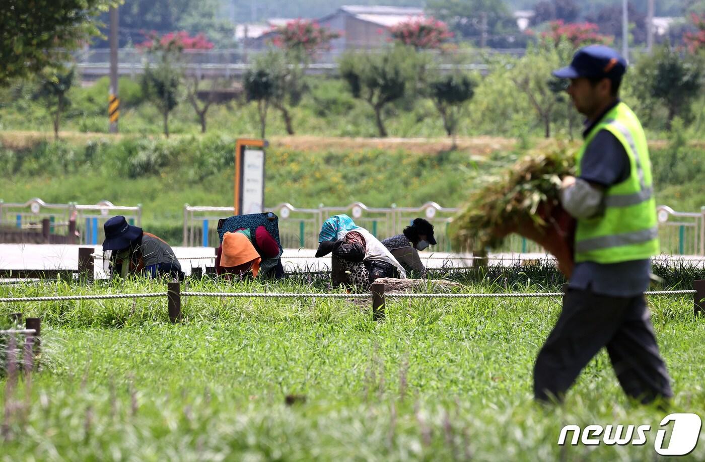 자료사진.뉴스1 ⓒ News1 공정식 기자