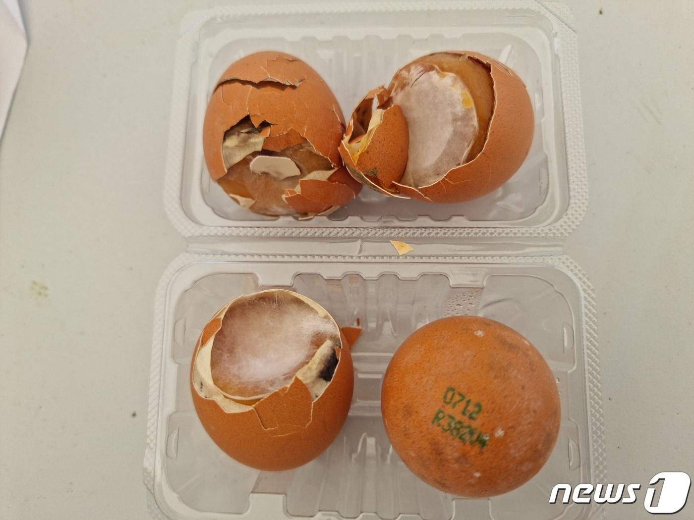 본문 이미지 - 익명의 제보자 A씨가 새만금 잼버리 조직위로부터 받은 구운 달걀.(제보자 제공)2023.8.2/뉴스1