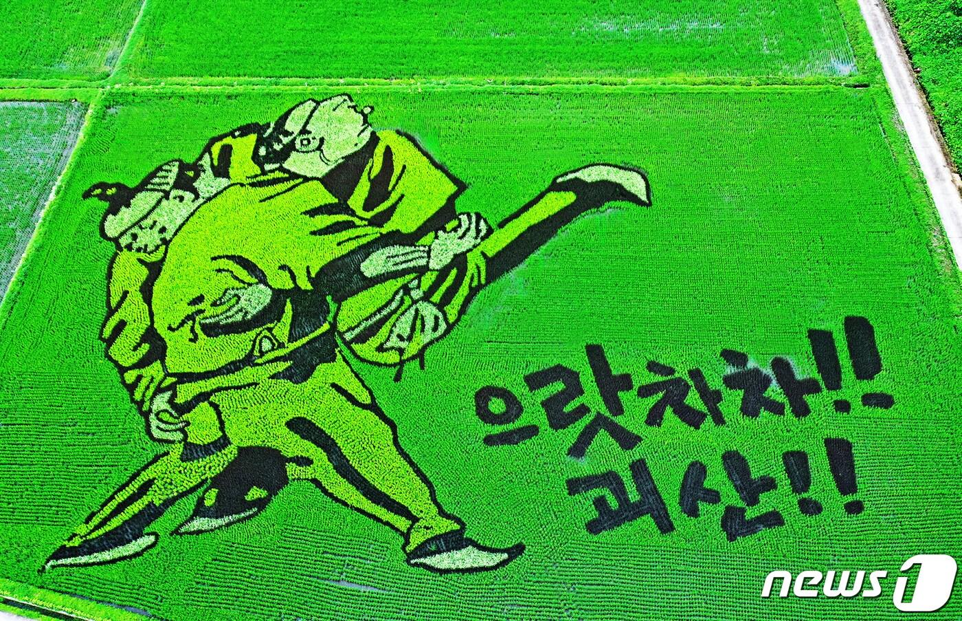 본문 이미지 - 충북 괴산 문광저수지 인근에 조성한 유색벼 논그림.(괴산군 제공)/뉴스1
