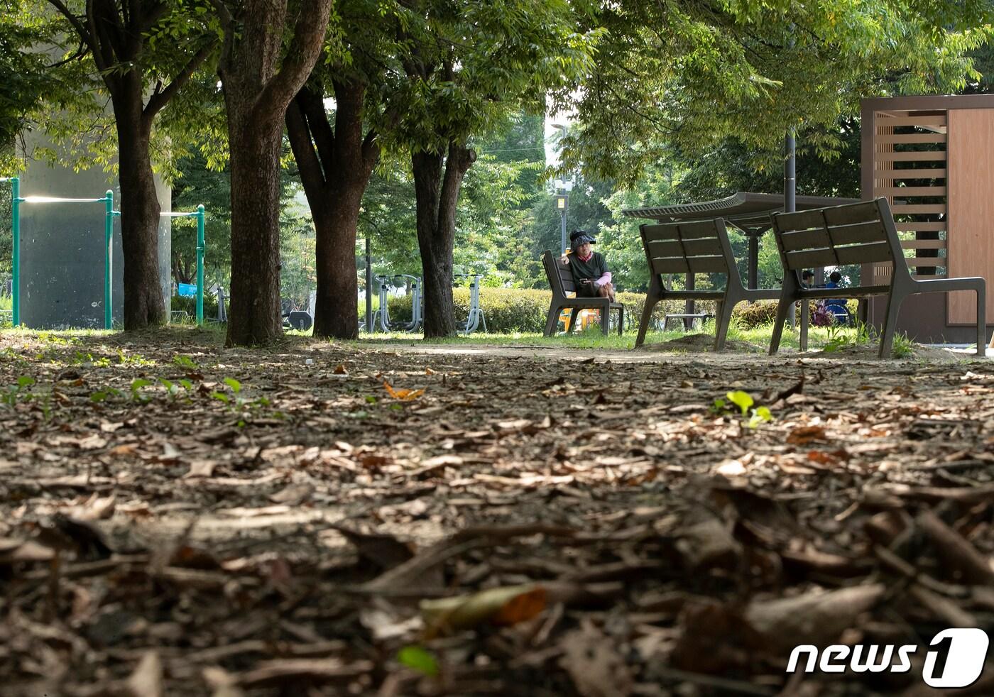 본문 이미지 - 더위가 꺾인다는 절기상 처서를 이틀 앞둔 21일 서울 광진구 뚝섬한강공원에서 시민들이 그늘 아래에서 휴식을 취하고 있다. 기상청은 내일부터 서해안에서 비구름이 유입되고 전국에 비가 내리면서 더위가 주춤할 것으로 예보했다. 2023.8.21/뉴스1 ⓒ News1 신웅수 기자