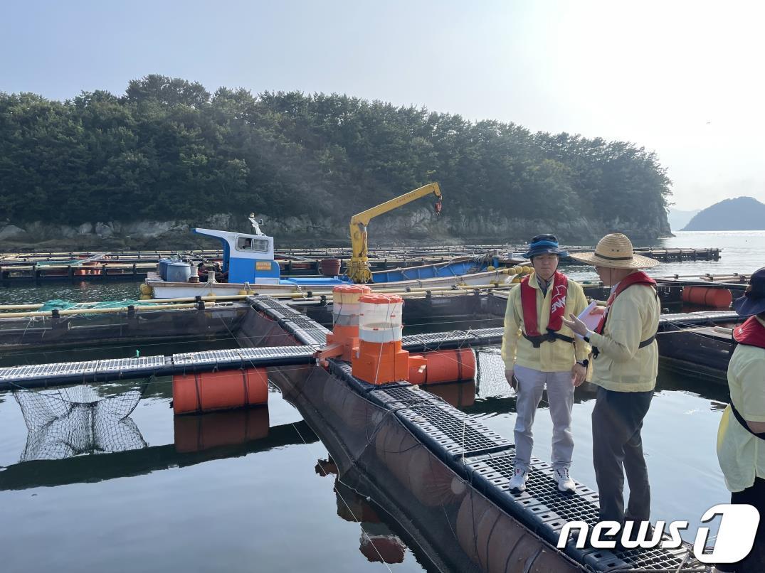 본문 이미지 - 21일 김제홍 경남도 해양수산국장이 통영시 산양해역 가두리양식장을 방문해 고수온 피해 상황을 점검하고 있다.(경남도 제공)