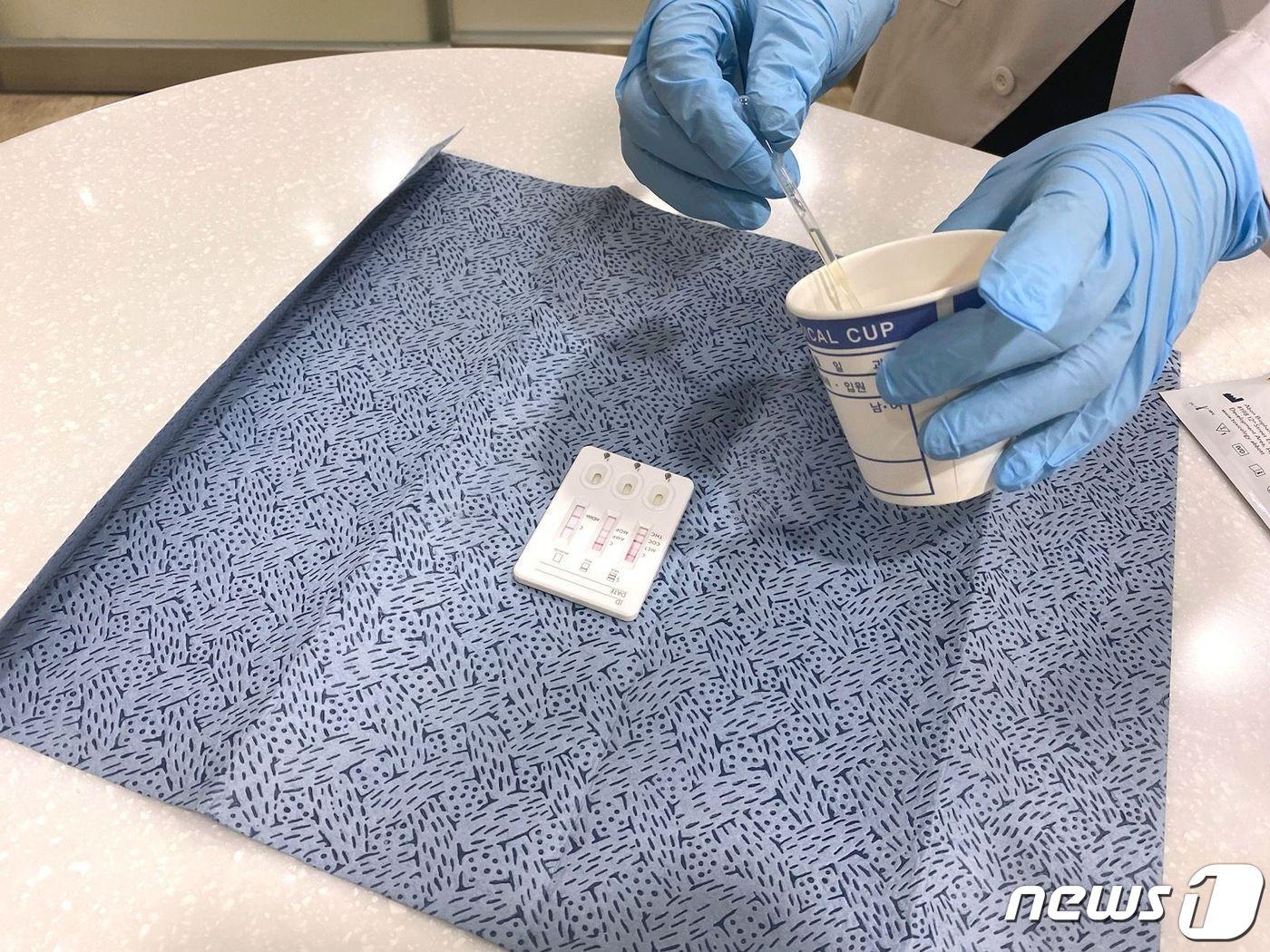 본문 이미지 - 은평구 제공. @News1