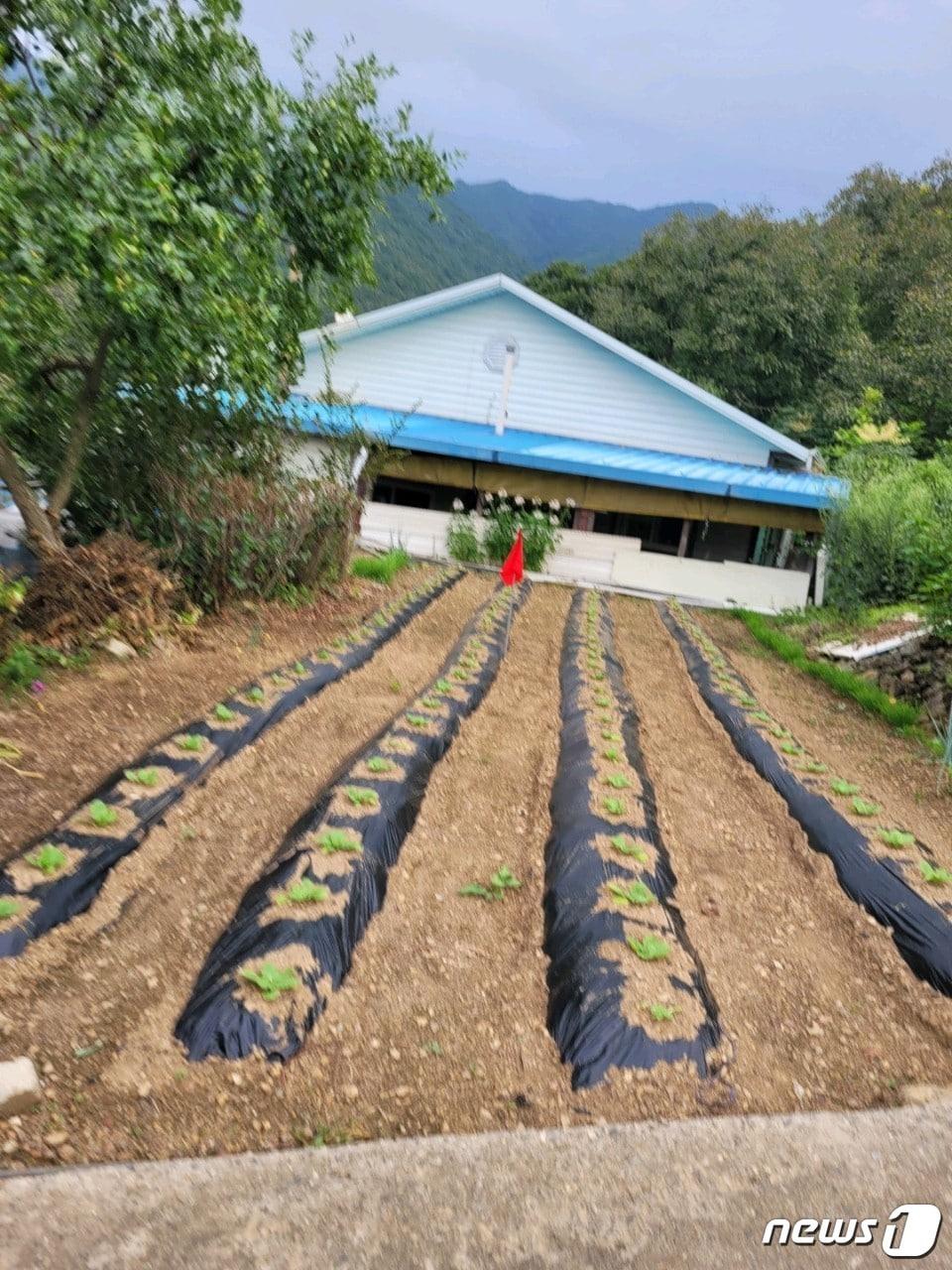 본문 이미지 - 충북 영동양수발전소 건설에 따라 추진하는 군도 7호선 이설도로가 관통하는 한 수몰민 주택 모습. (독자 제공) /뉴스1