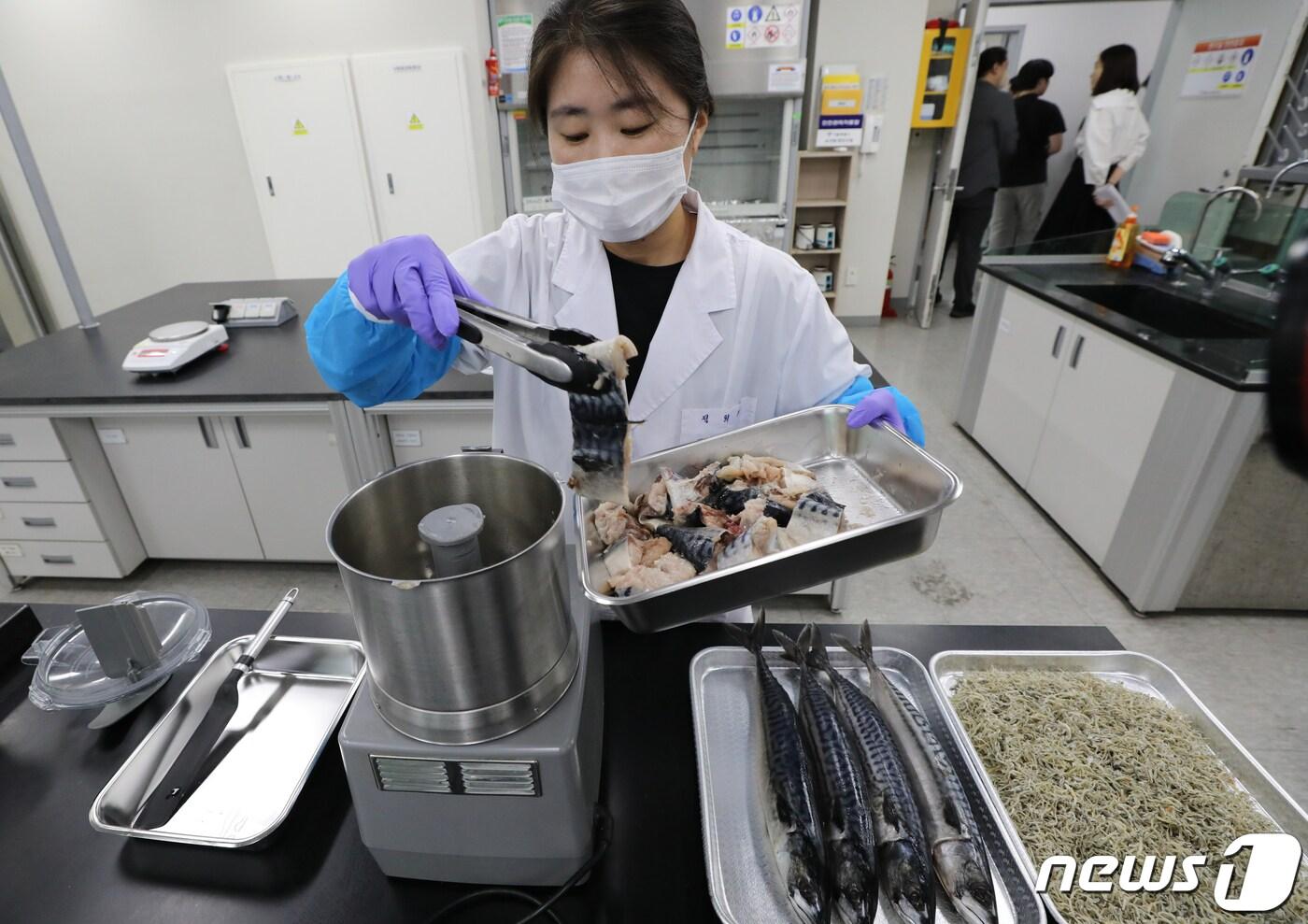 본문 이미지 - 일본 후쿠시마 오염수 방류가 시작된 24일 경기도 과천시 보건환경연구원에서 연구원이 방사능 검사를 위한 시료 분쇄 과정을 시연하고 있다. 2023.8.24/뉴스1 ⓒ News1 허경 기자