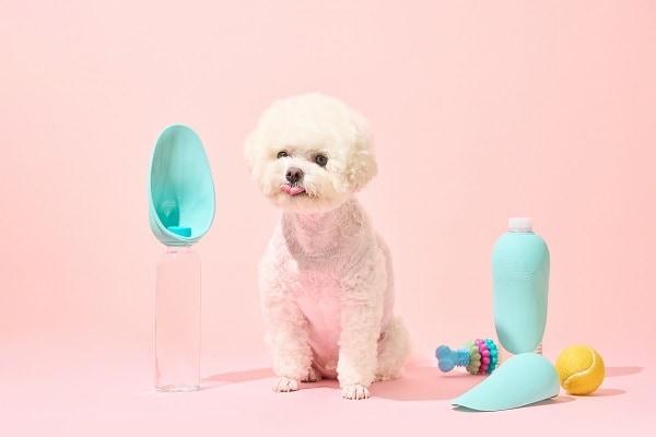 본문 이미지 - 사진제공=개님의상점