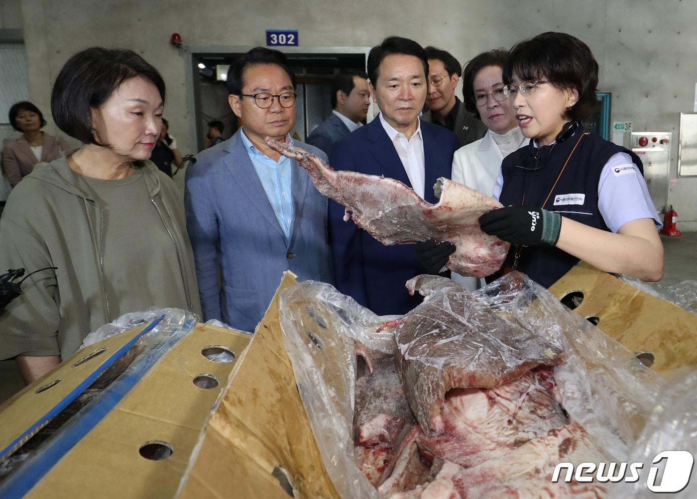 본문 이미지 - 성일종 국민의힘 우리바다 지키기 검증 TF 위원장을 비롯한 위원들이 25일 오후 부산 서구의 한 냉동창고에서 수산물 방사능 검사를 위해 일본산 냉동 홍어 검체 수거 과정을 지켜보고 있다. 2023.8.25/뉴스1 ⓒ News1 윤일지 기자