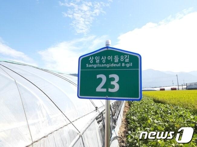 본문 이미지 -  전국 최초로 농로와 비닐하우스에 도로명 주소가 부여된 경남 의령군 화정면 상일상이들 전경.(의령군 제공)