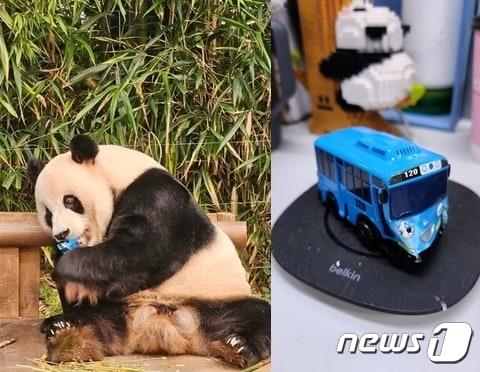 본문 이미지 - (에버랜드 동물원 '주토피아' 카페 갈무리)