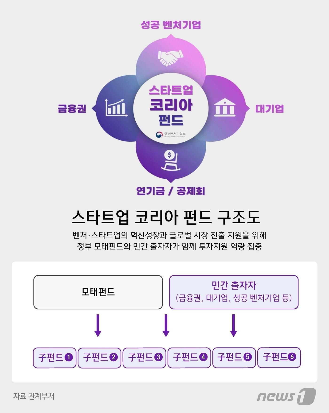 본문 이미지 - ⓒ News1 윤주희 디자이너