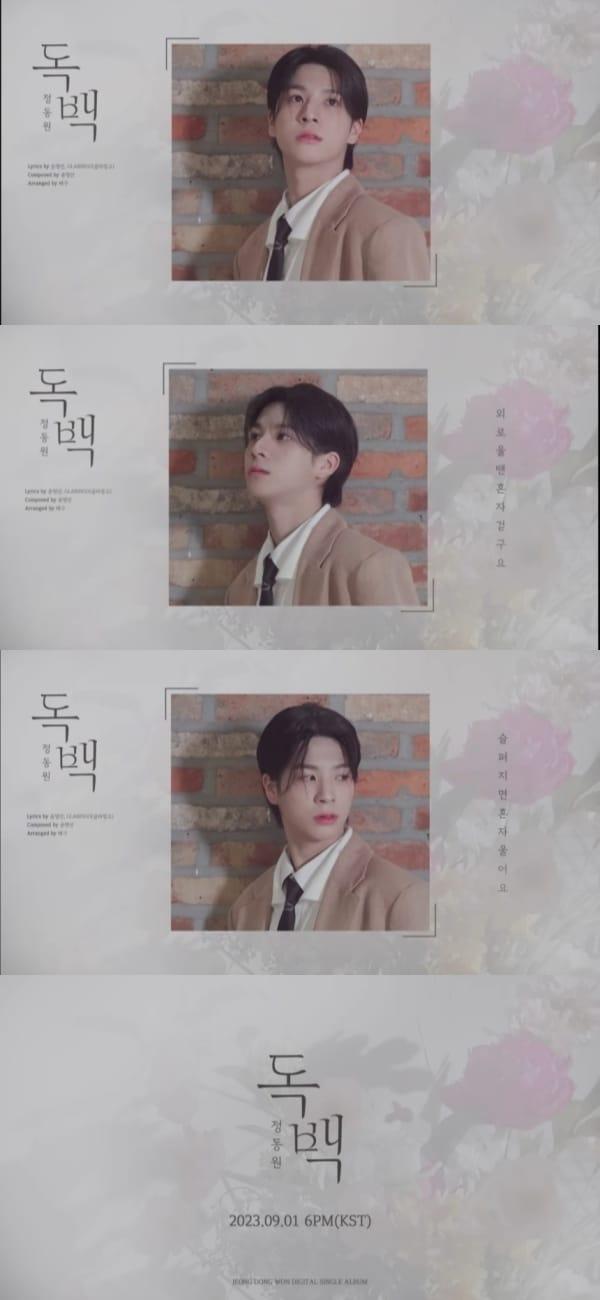 본문 이미지 - 사진제공=쇼플레이엔터테인먼트