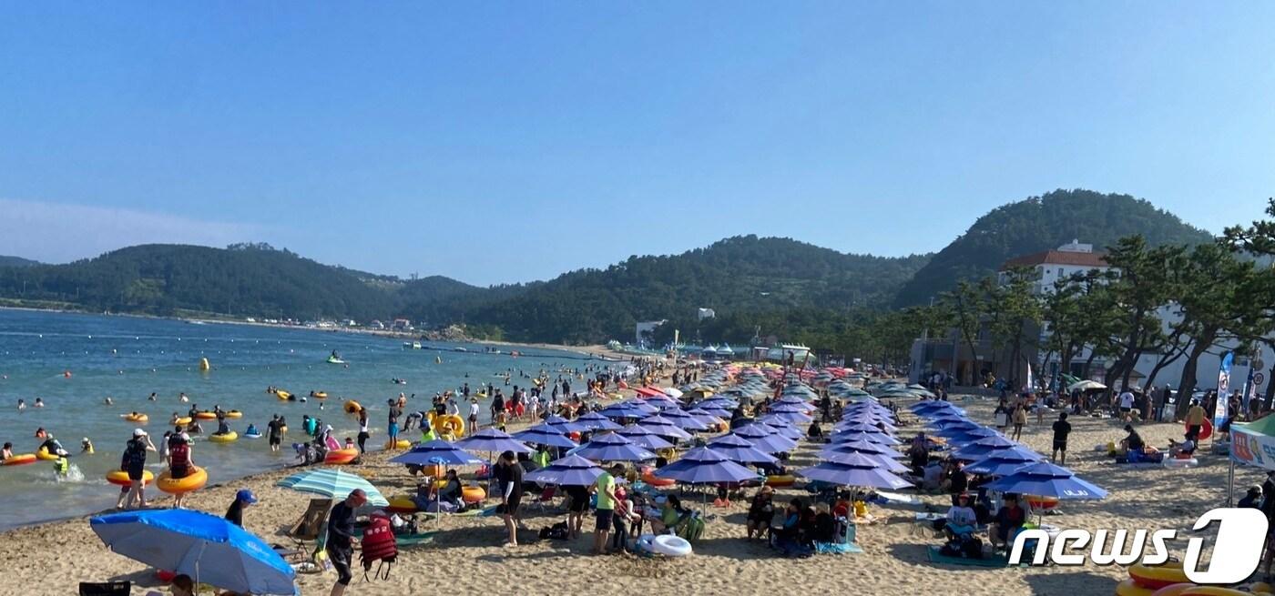 본문 이미지 - 울산 울주군 진하해수욕장 전경.(울주군 제공)