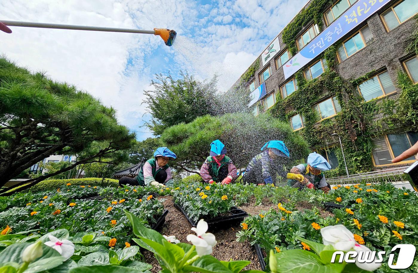 본문 이미지 - (사진은 기사 내용과 무관함) / 뉴스1 ⓒ News1