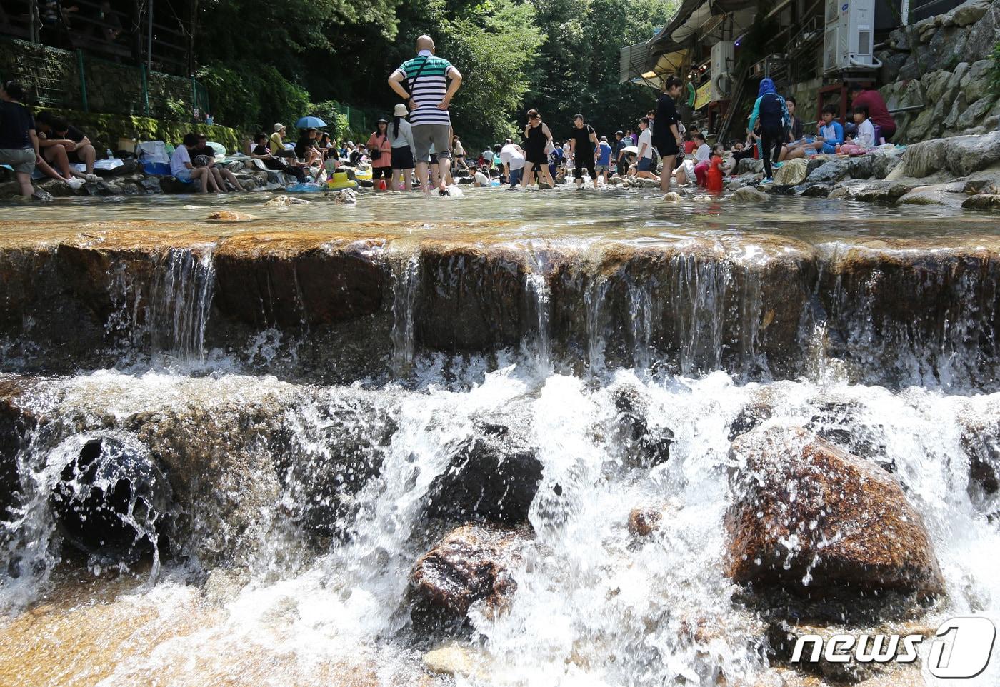 충남 공주 동학사 계곡에서 더위를 식히는 시민들. /뉴스1 ⓒ News1 김기태 기자