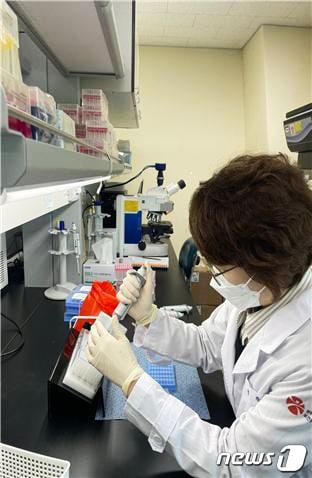 본문 이미지 - 광주시보건환경연구원 파라인플루엔자 바이러스 검사.(광주시 제공)/뉴스1 