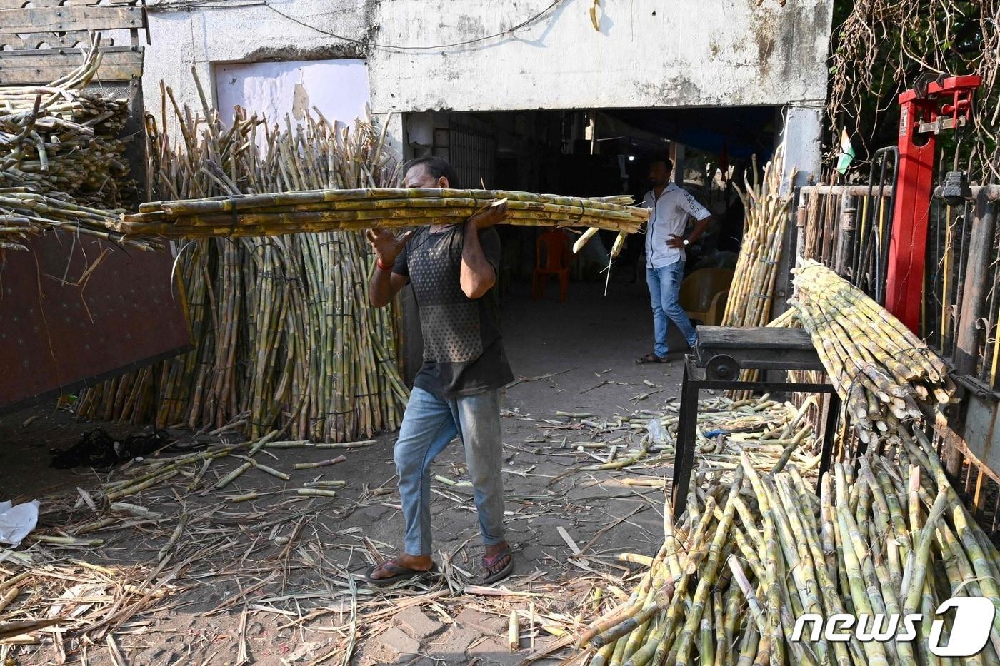 본문 이미지 - 지난 5월6일(현지시간) 인도 나비 뭄바이에서 한 남성이 트럭에 사탕수수를 옮기고 있다. 23.05.06 ⓒ AFP=뉴스1 ⓒ News1 김예슬 기자