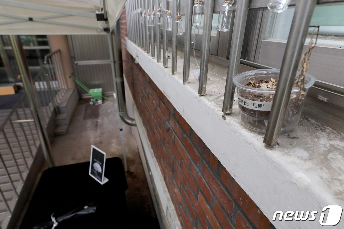 7일 오후 서울 서초구 서이초등학교 1학년 6반 교실 외벽에 극단적 선택으로 세상을 떠난 교사를 위한 추모공간이 설치돼 있다. 2023.8.7/뉴스1 ⓒ News1 장수영 기자