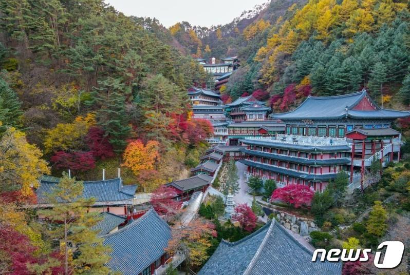 본문 이미지 - 일본 스카우트 대원들이 머물 단양 구인사 전경