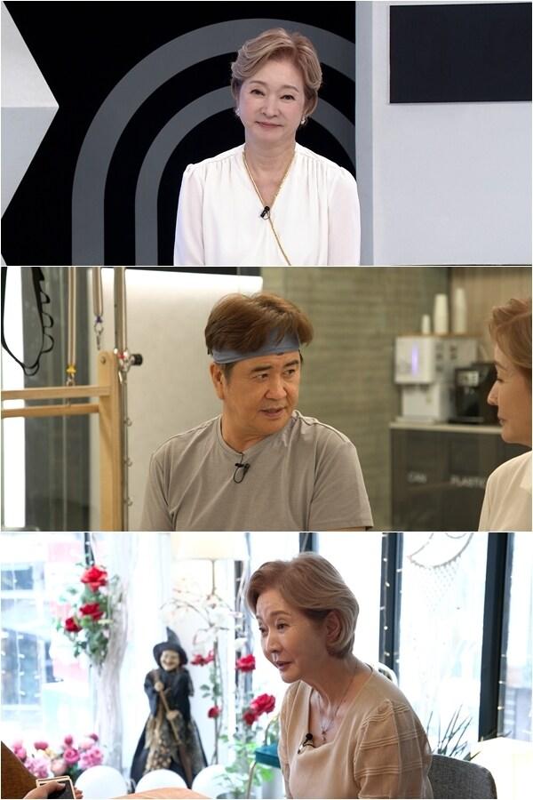 본문 이미지 - TV조선 '퍼펙트라이프'