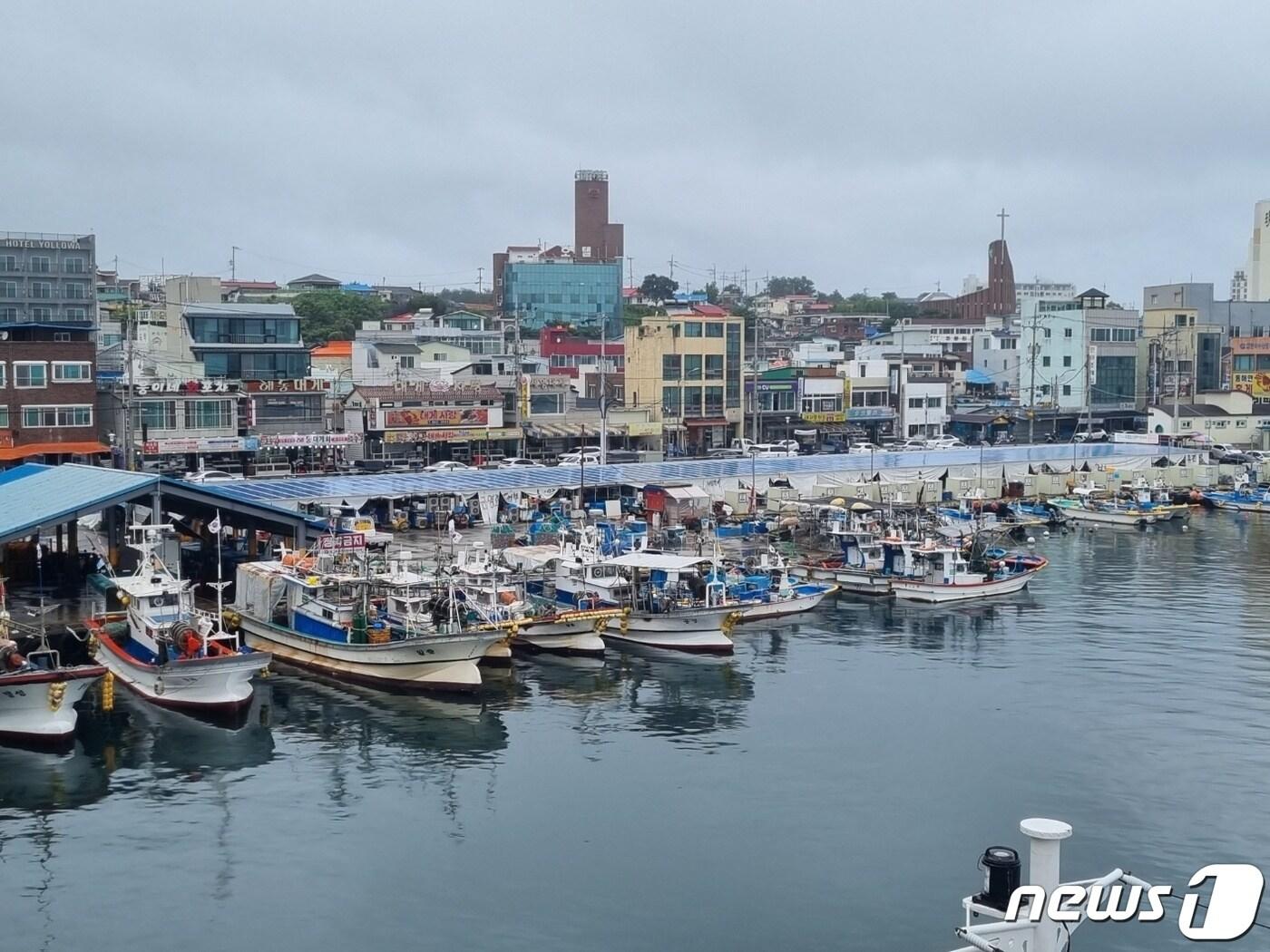 본문 이미지 - 강원 강릉 주문진항에 정박 중인 어선.(뉴스1 DB) ⓒ News1 윤왕근 기자