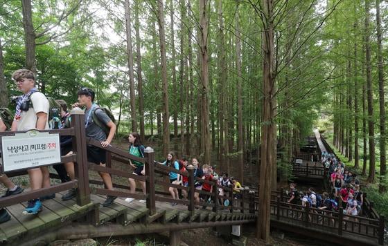 본문 이미지 - 자료사진/뉴스1 ⓒ News1 김용빈 기자