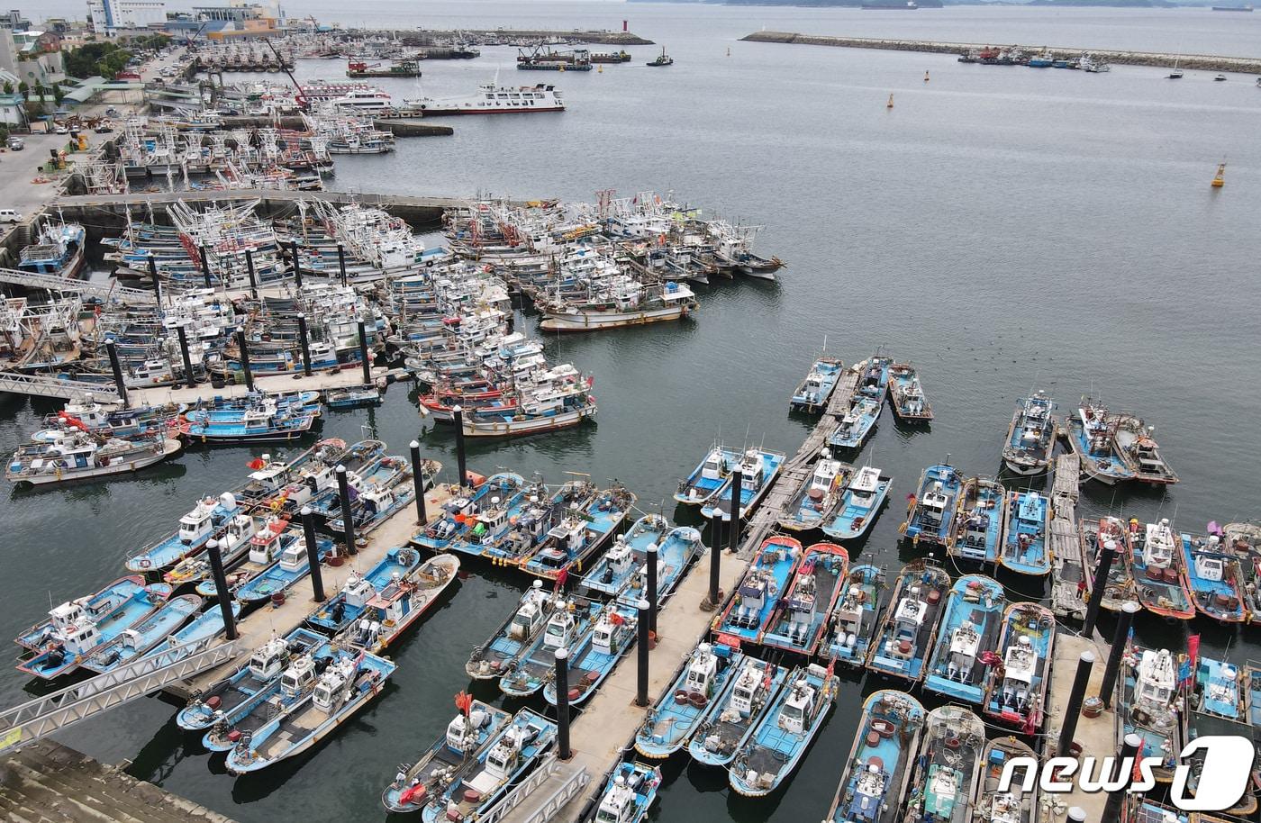 보령 대천항.(뉴스1DB)/뉴스1