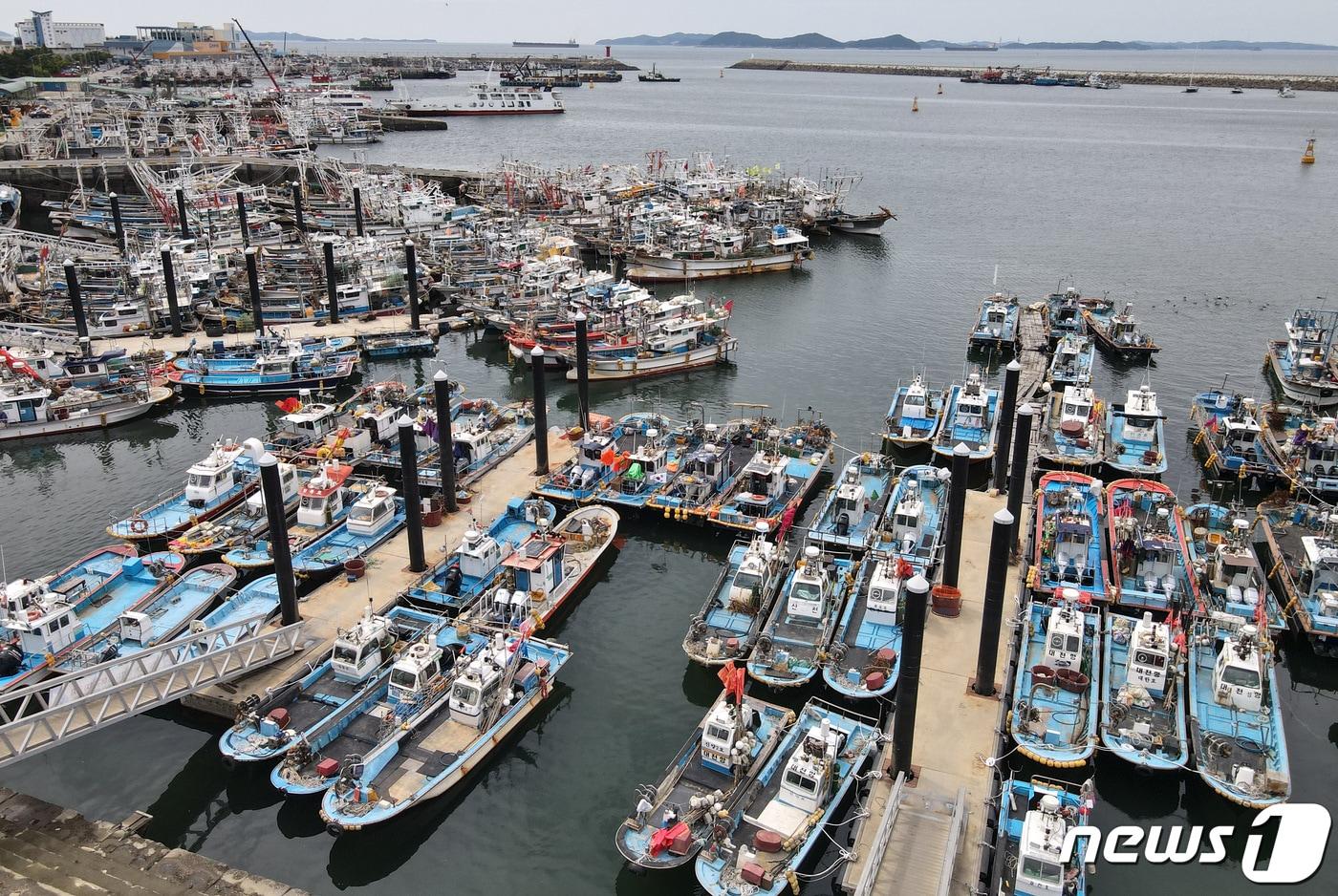 충남 보령 대천항의 모습. (뉴스1 DB) 2023.8.9/뉴스1 ⓒ News1 김기태 기자