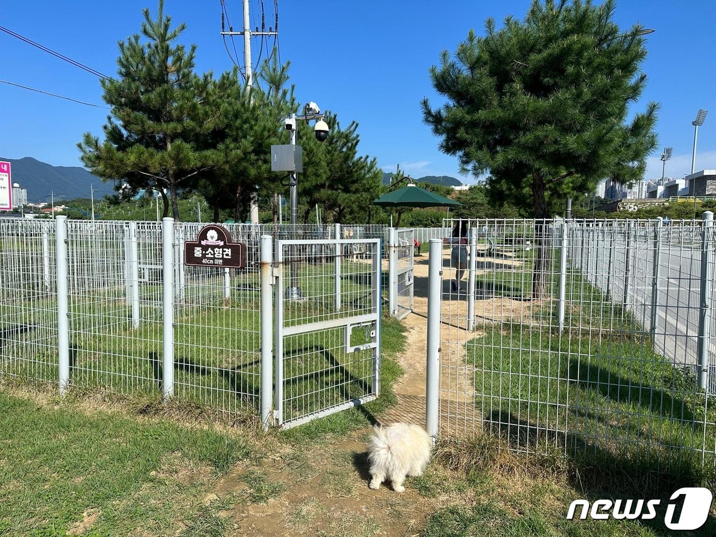 본문 이미지 -  2일 충북 충주에서 반려동물 놀이터 혐오시설 논란이 일고 있다. 사진은 충주종합운동장 반려동물 놀이터 모습.2023.9.2/뉴스1