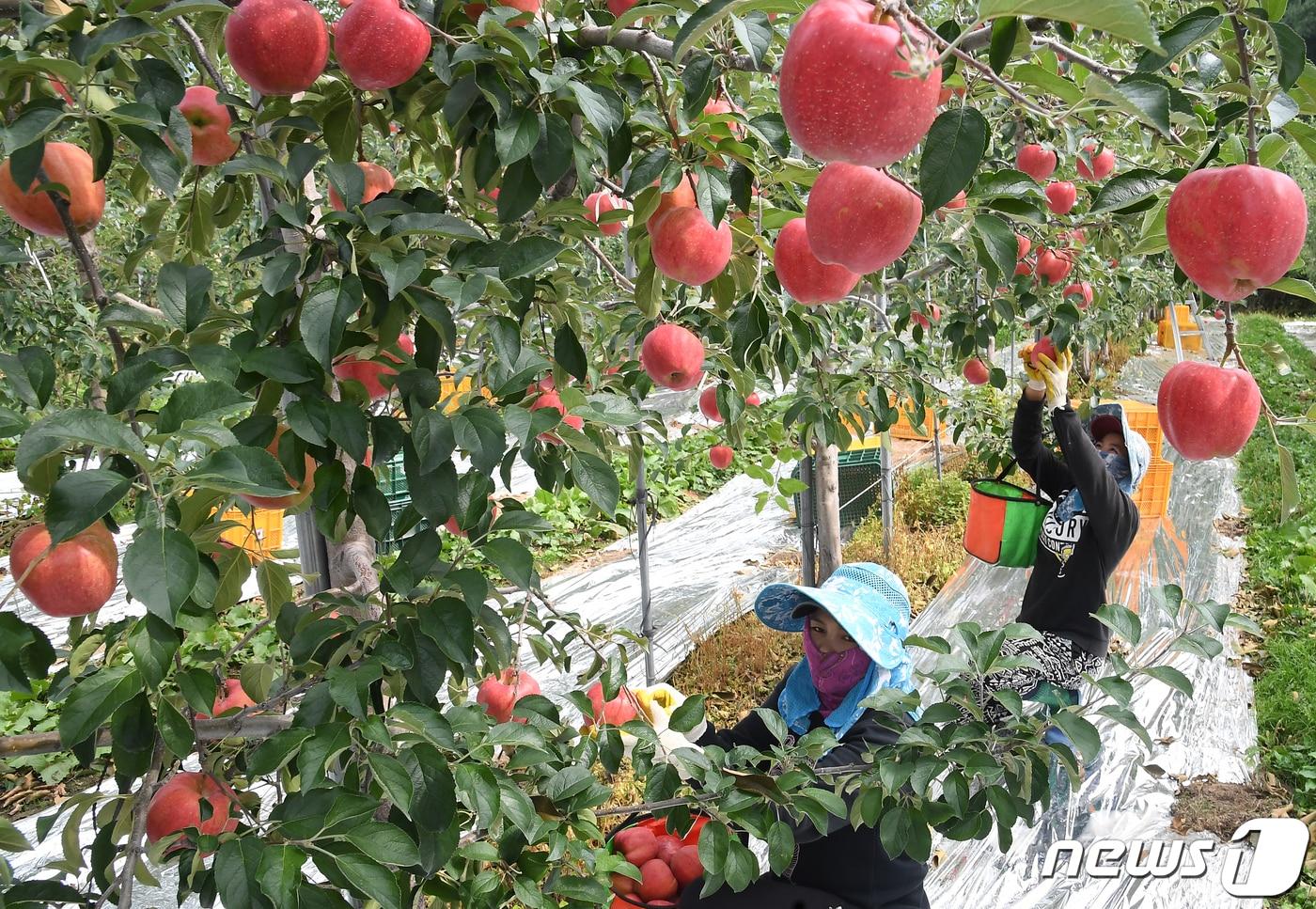 (사진은 기사 내용과 무관함) / 뉴스1 ⓒ News1