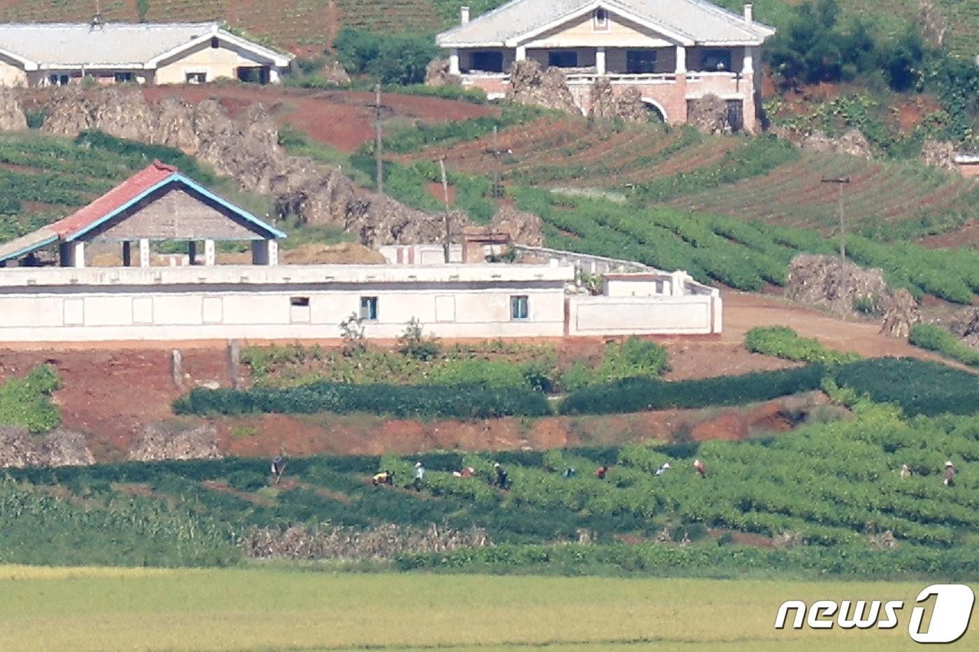 본문 이미지 - 경기 파주 오두산 통일전망대에서 바라본 북한 황해북도 개풍군 일대. 2023.9.14/뉴스1 ⓒ News1 민경석 기자