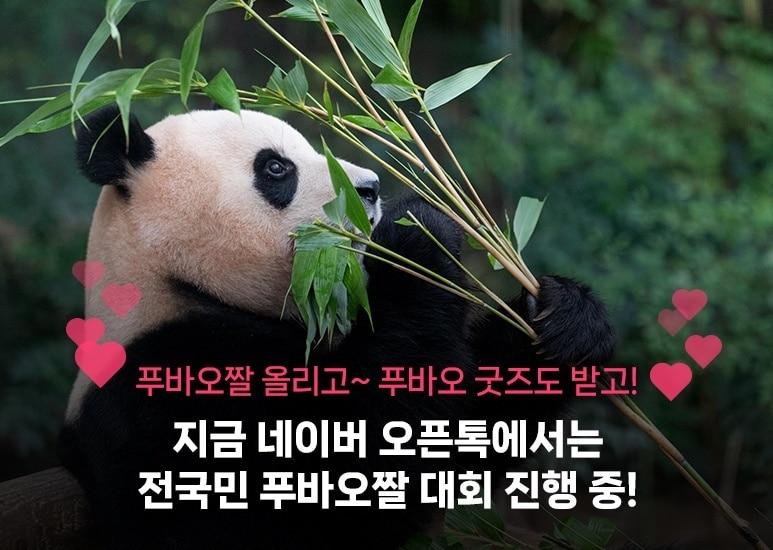 본문 이미지 - (네이버 제공)