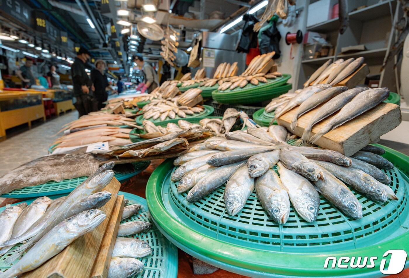 본문 이미지 - 뉴스1DB