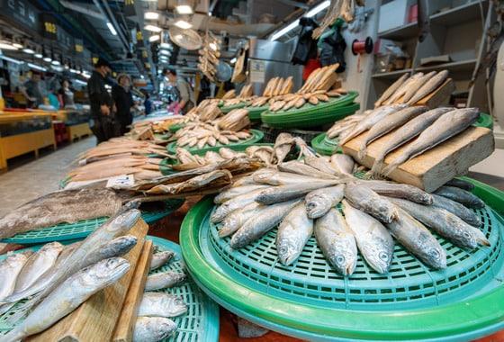 본문 이미지 - 전통시장 수산물 점포.(자료사진)/뉴스1 ⓒ News1 이재명 기자