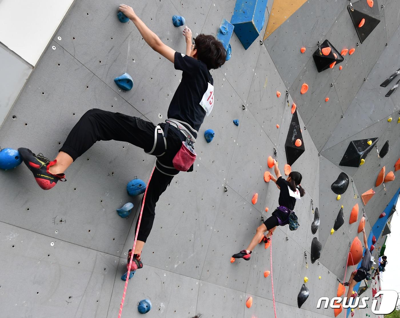 본문 이미지 - 17일 경북 포항시 남구 국제클라이밍센터에서 열린 '2023 제4회 포항전국청소년스포츠클라이밍대회' 초등학교 저학년부 결승전에 출전한 선수들이 출발신호와 함께 인공암벽을 타고 있다.2023.9.17/뉴스1 ⓒ News1 최창호 기자 
