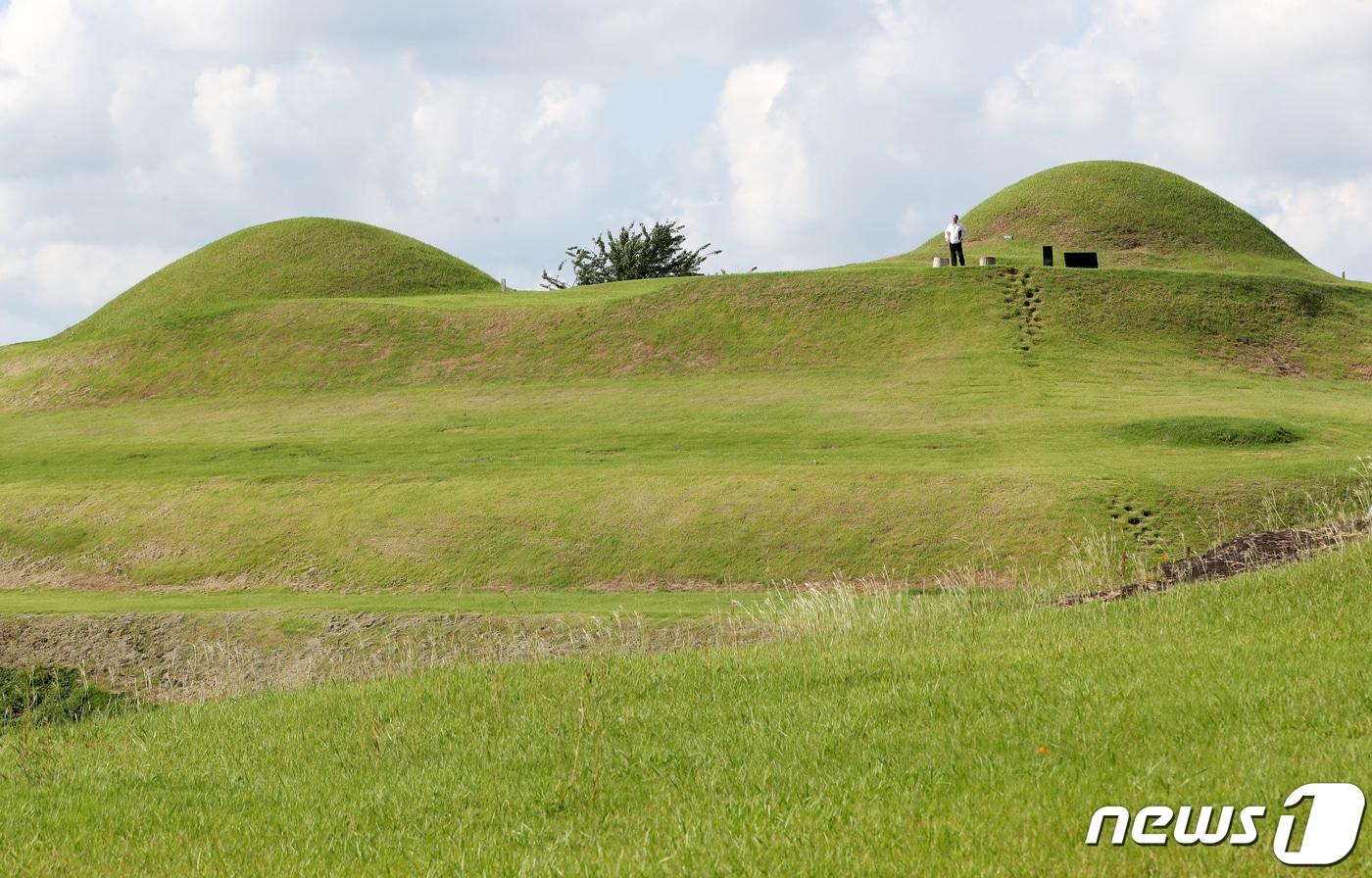 본문 이미지 - 경남 함안군 말이산 고분군 모습. 2023.9.18/뉴스1 ⓒ News1 윤일지 기자