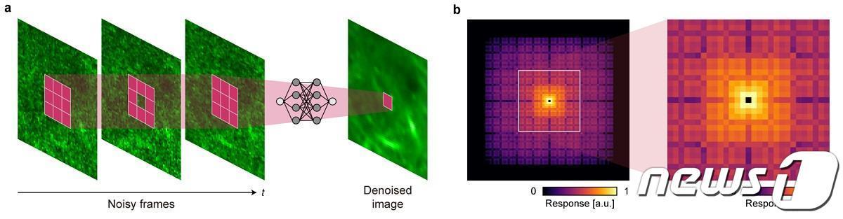 본문 이미지 - 서포트(SUPPORT) 기술의 개념도.(KAIST 제공)/뉴스1