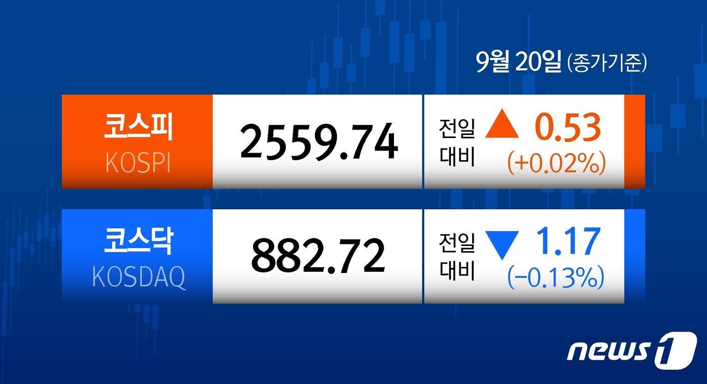 본문 이미지 - ⓒ News1 양혜림 디자이너