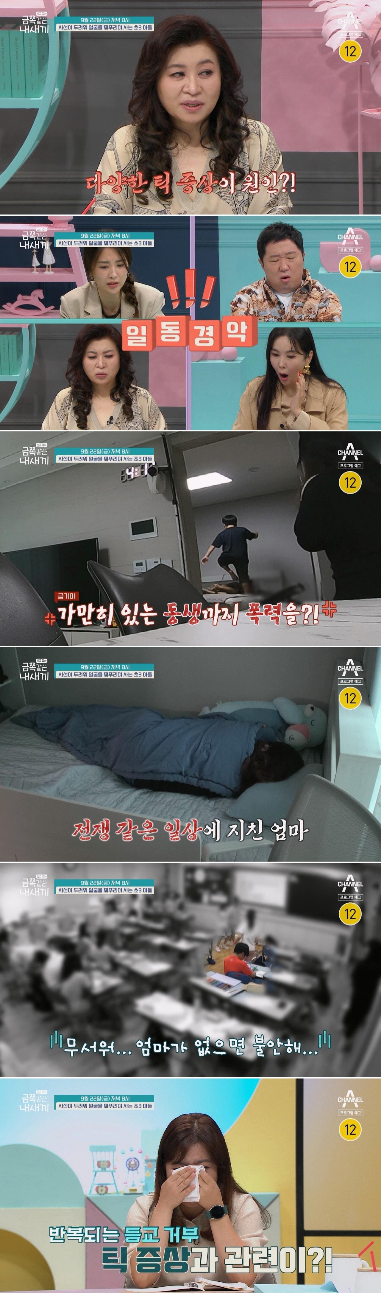 본문 이미지 - 채널A