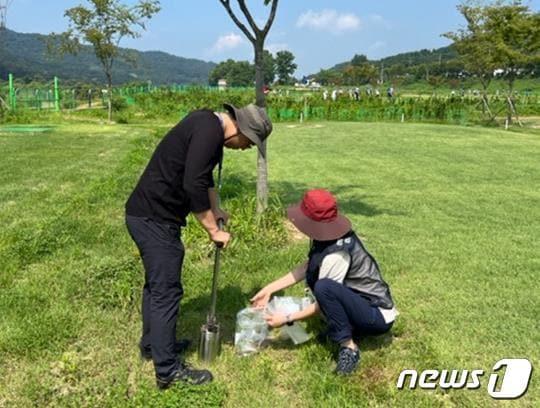 본문 이미지 - 광주보건환경연구원이 한 파크골프장에서 농약잔류 조사를 실시하고 있다(광주시 제공) 2023.09.22/뉴스1